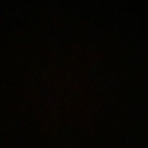 Meet your Posher, Deannette